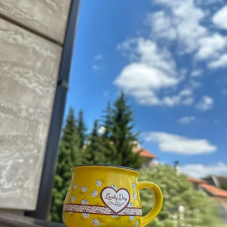 Zlatibor Apartman Aria Forest Spa & Gym Εξωτερικό φωτογραφία