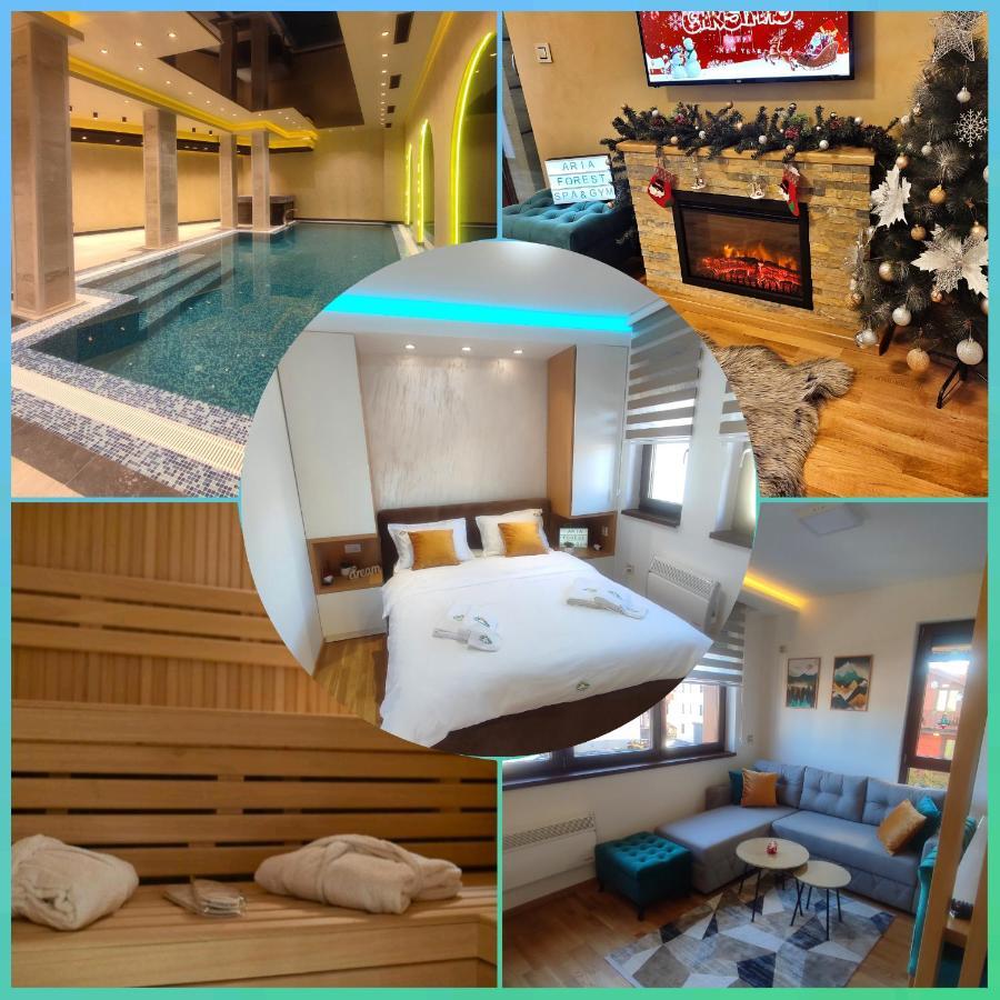 Aria Forest & Gym